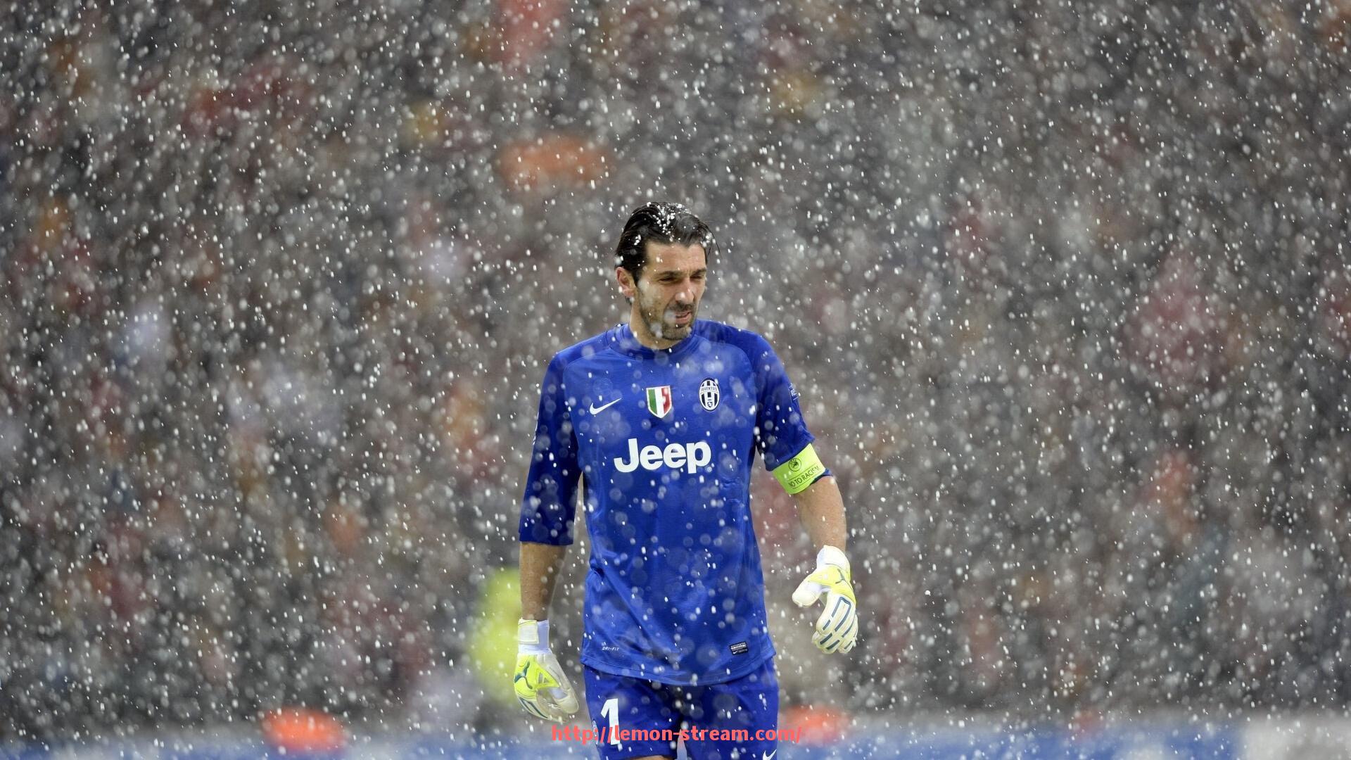 柠檬体育直播-里尔队目前有哪些球员身价在持续上涨？（里尔球队图片）