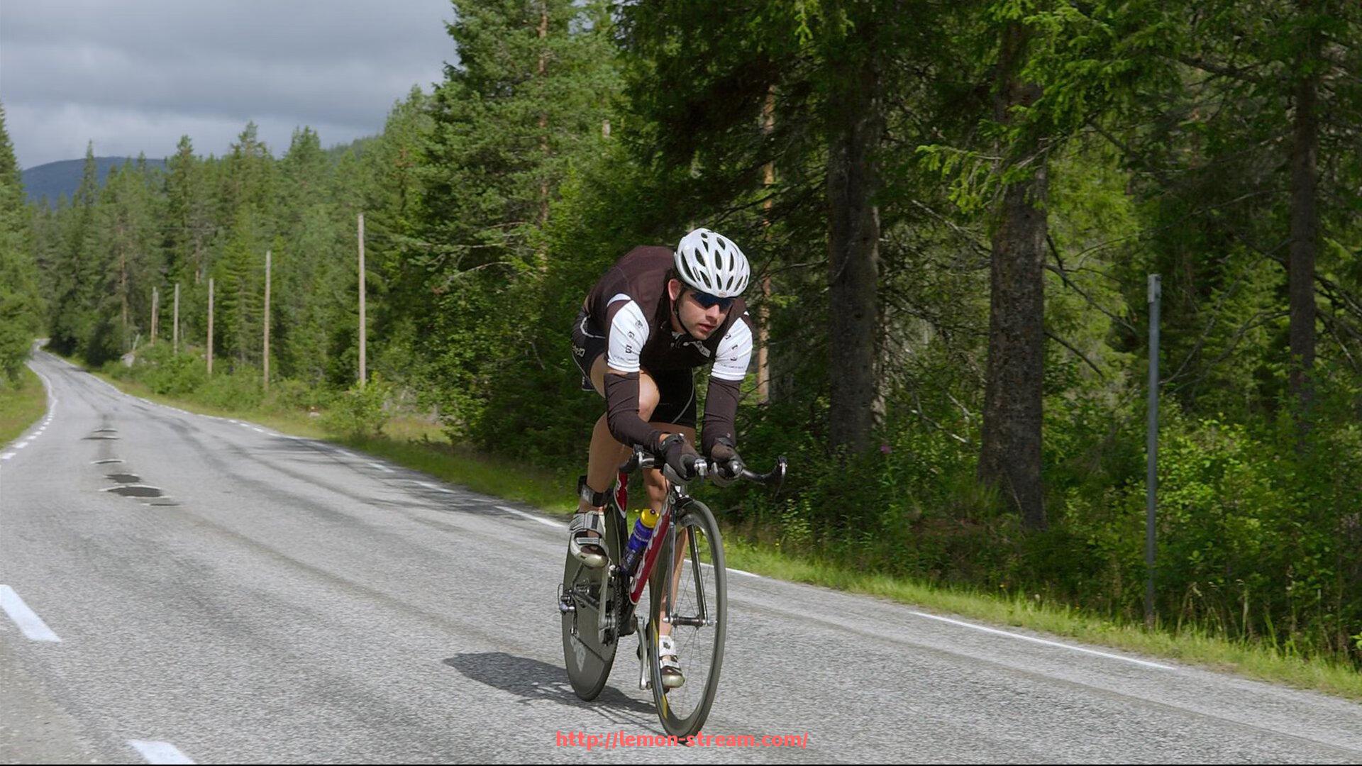 柠檬体育直播-世俱杯球员训练服搭配指南及款式选择实用建议